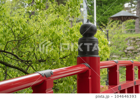 岡崎城、神橋の欄干から春先の緑を眺める 岡崎城、神橋の欄干から春先の緑を眺める 104646393