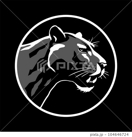 Black panther head, logo emblem on a dark background. Vector illustration. 104646724