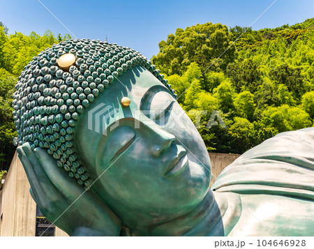 南蔵院 釈迦涅槃像 104646928