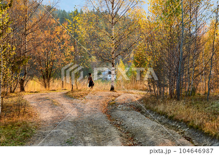 A girl hiking walks a dirt road in the mountains in haze on a golden autumn day A girl hiking walks a dirt road in the mountains in haze on a golden autumn day 104646987