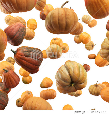 Falling Pumpkin isolated on white background, selective focus Falling Pumpkin isolated on white background, selective focus 104647262