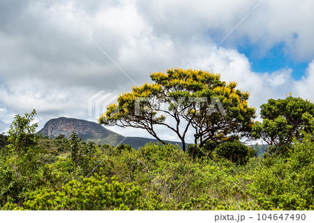Hiking trail to Aguas Claras waterfall in Vale do Capao, Chapada Diamantina, Palmeiras, Bahia, Brazil 104647490
