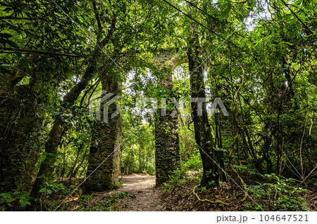 View of the ruins of the old Lazaretto aqueduct at Ilha Grande, Angra dos Reis, Rio de Janeiro, Brazil 104647521