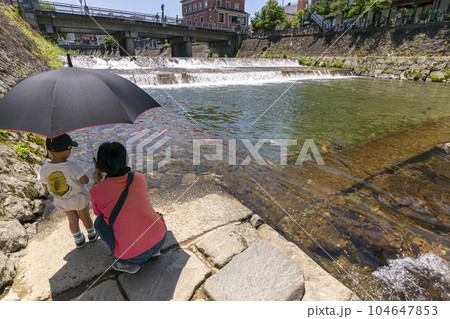 230704宮川鍜治橋鯉s286 104647853