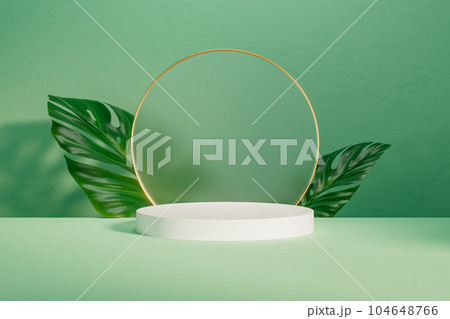 3d presentation white pedestal with leafs and gold frame over background wall 3d presentation white pedestal with leafs and gold frame over background wall 104648766