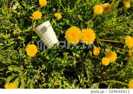 Texture of  summer meadow dandelion flowers. Dandelion yellow flowers in green grass. 104648821