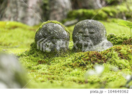 京都大原三千院　苔が美しい有清園にたたずむ「わらべ地蔵」 104649362