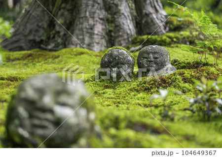 京都大原三千院 苔が美しい有清園にたたずむ「わらべ地蔵」 京都大原三千院 苔が美しい有清園にたたずむ「わらべ地蔵」 104649367