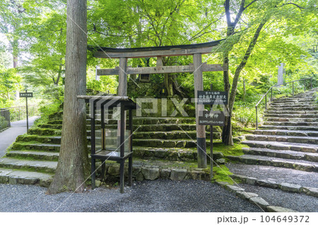 京都大原　三千院　宇賀神と妙音福寿大弁財天が祀られている 104649372
