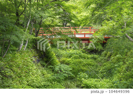 京都大原　三千院　あじさい苑の奥　律川に架かる橋 104649396