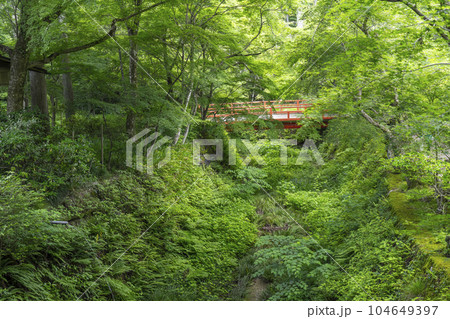 京都大原 三千院 あじさい苑の奥 律川に架かる橋 京都大原 三千院 あじさい苑の奥 律川に架かる橋 104649397