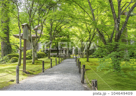 京都大原 三千院 美しい苔庭と往生極楽院 京都大原 三千院 美しい苔庭と往生極楽院 104649409