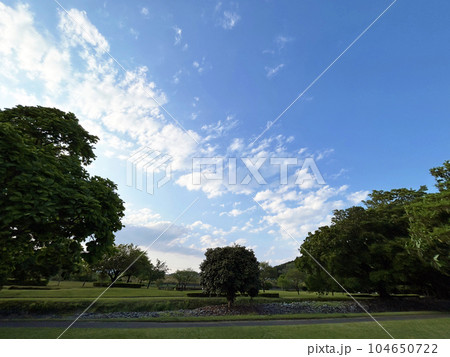 青空と新緑の公園 青空と新緑の公園 104650722