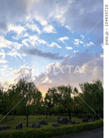 夕暮れ時の空を見上げる 104650728