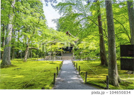 京都大原　三千院　美しい苔庭の有清園と往生極楽院 104650834