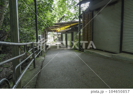 京都大原 呂川沿いの三千院参道「響の道」 大原女の小径 京都大原 呂川沿いの三千院参道「響の道」 大原女の小径 104650857