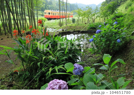 小湊鐵道「昔懐かしい里山風景を背景に走る列車」 104651780
