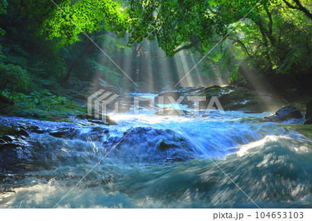 光さす菊池渓谷(菊池市) 光さす菊池渓谷(菊池市) 104653103