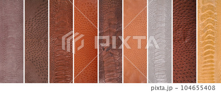 Leather tissues taken from various parts of the ostrich body, ostrich skin is used in textiles 104655408