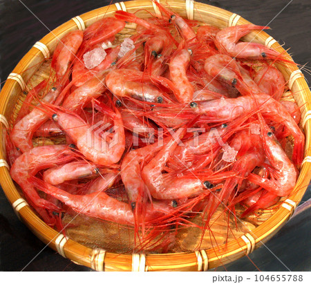 あまえび　甘えび　甘海老　甘エビ　アマエビ　 104655788