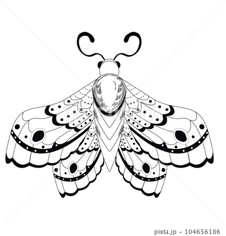 Magic mystic moth in doodle style, line art isolated, boho celestial esoteric symbol, tatoo or print 104656186
