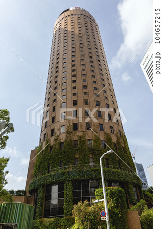 見上げた大阪マルビルと壁を這う植物（2023年5月27日撮影） 104657245