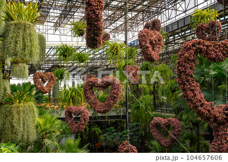 Plants and flowers of sky garden 104657606