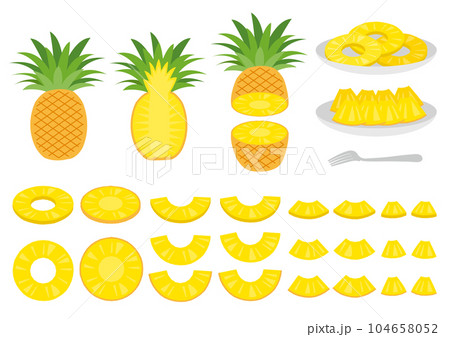 パイナップルのイラストのセット_7 104658052