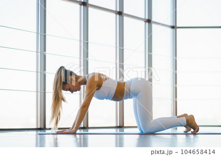 Young Woman Exercising against Scenic Windows Young Woman Exercising against Scenic Windows 104658414