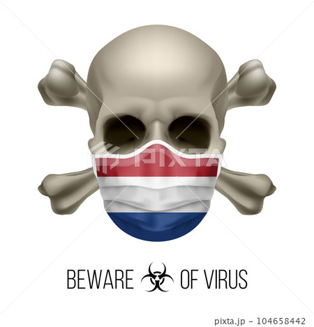 Human Skull Human Skull 104658442