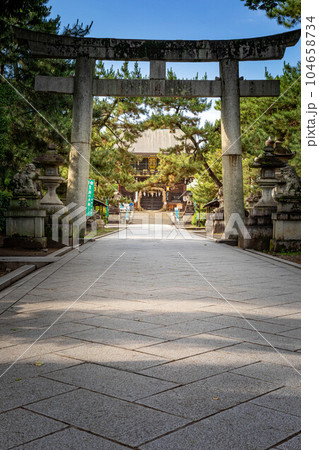 北野天満宮の初夏、鳥居の先の楼門に夏越の祓の茅の輪を見る 104658734