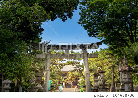 北野天満宮の初夏、鳥居の先の楼門に夏越の祓の茅の輪を見る 104658736