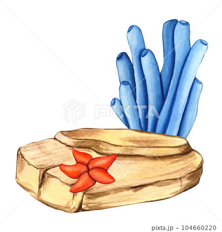 Watercolor stones, starfish and blue seaweed. Illustrations underwater grass and rock collection, nature landscape illustrations elements, isolated on white background for kids print Watercolor stones, starfish and blue seaweed. Illustrations underwater grass and rock collection, nature landscape illustrations elements, isolated on white background for kids print 104660220