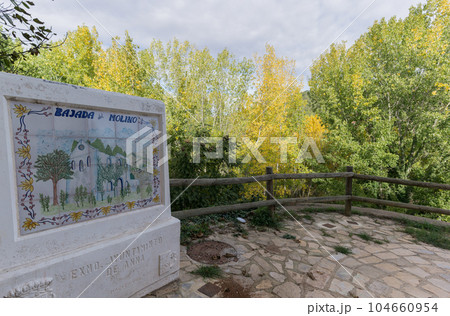 Poplar forest Anna Valencia Spain village forested area 104660954