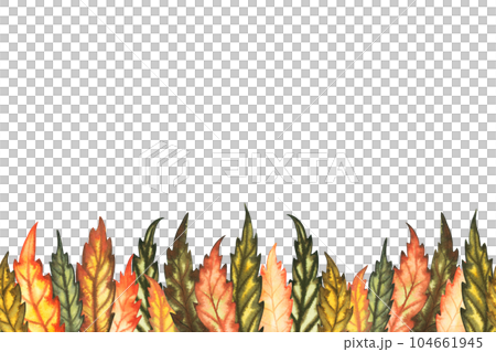 Watercolour seamless border with autumn ashberry rowan leaves hand drawn illustration for greeting card, wedding decor, product decoration, website banner. Isolated on white background 104661945