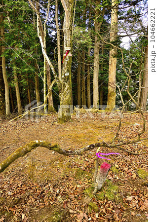 道志山塊の日向峰山頂 道志山塊の日向峰山頂 104662221