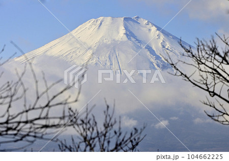 道志山塊の小天狗より望む富士山 道志山塊の小天狗より望む富士山 104662225