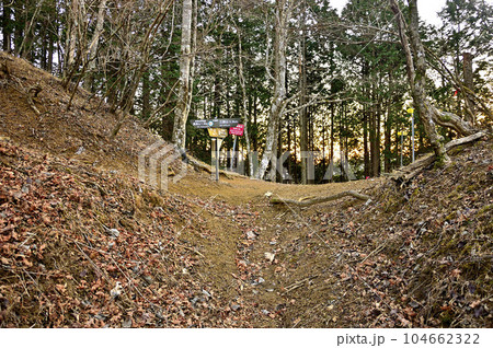 丹沢の甲相国境尾根　朝の切通峠 104662322