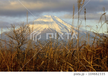 丹沢の高指山より望む朝焼けの富士山 丹沢の高指山より望む朝焼けの富士山 104662335