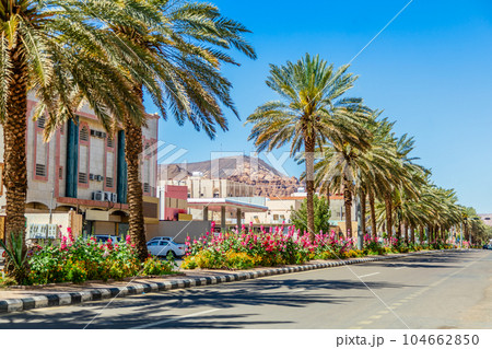 Modern street with row of palm trees, Al Ula town, Saudi Arabia Modern street with row of palm trees, Al Ula town, Saudi Arabia 104662850