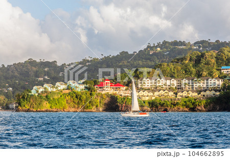 Coastline view with sailing yacht, villas and resorts on the hill, Castries, Saint Lucia 104662895