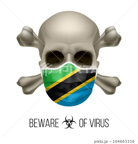 Human Skull 104663316