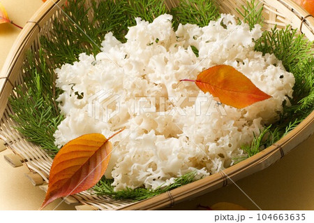 ざるにハナビラ茸 104663635