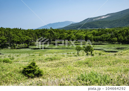 知床五湖 知床五湖 104664292