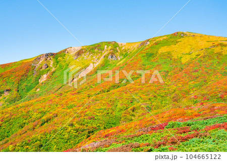 秋の栗駒山登山（中央コースから望む山頂） 104665122