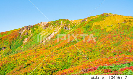 秋の栗駒山登山（中央コースから望む山頂） 104665123