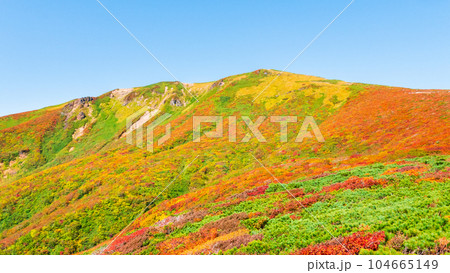 秋の栗駒山登山（中央コースから望む山頂） 104665149