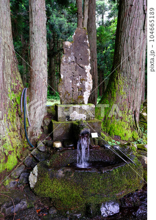 雷電様の水(苔) 雷電様の水(苔) 104665189