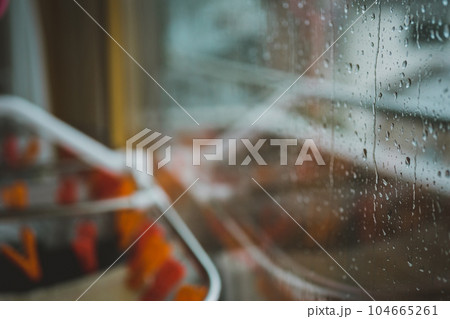 雨の日に部屋干し 104665261
