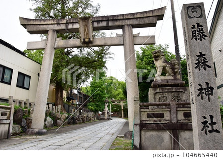 伏見区 藤森神社の西門鳥居と新緑 伏見区 藤森神社の西門鳥居と新緑 104665440